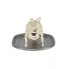 Skeleton Pig on a Platter at Spencer's