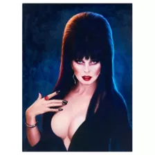 Elvira: Mistress of the Dark Canvas at Spirit Halloween