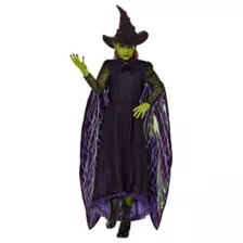 Kids Elphaba Costume Deluxe -  Wicked at Spencer's