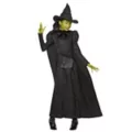 Kids Elphaba Costume -  Wicked at Spencer's