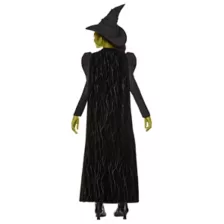 Kids Elphaba Costume -  Wicked at Spencer's