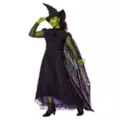 Adult Elphaba Costume Deluxe - Wicked at Spirit Halloween