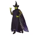 Adult Elphaba Costume Deluxe - Wicked at Spirit Halloween