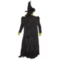 Adult Elphaba Costume -  Wicked at Spencer's