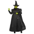 Adult Elphaba Costume -  Wicked at Spencer's