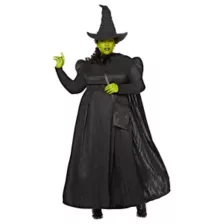 Adult Elphaba Costume -  Wicked at Spencer's