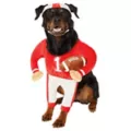 Football Player Pet Costume at Spirit Halloween