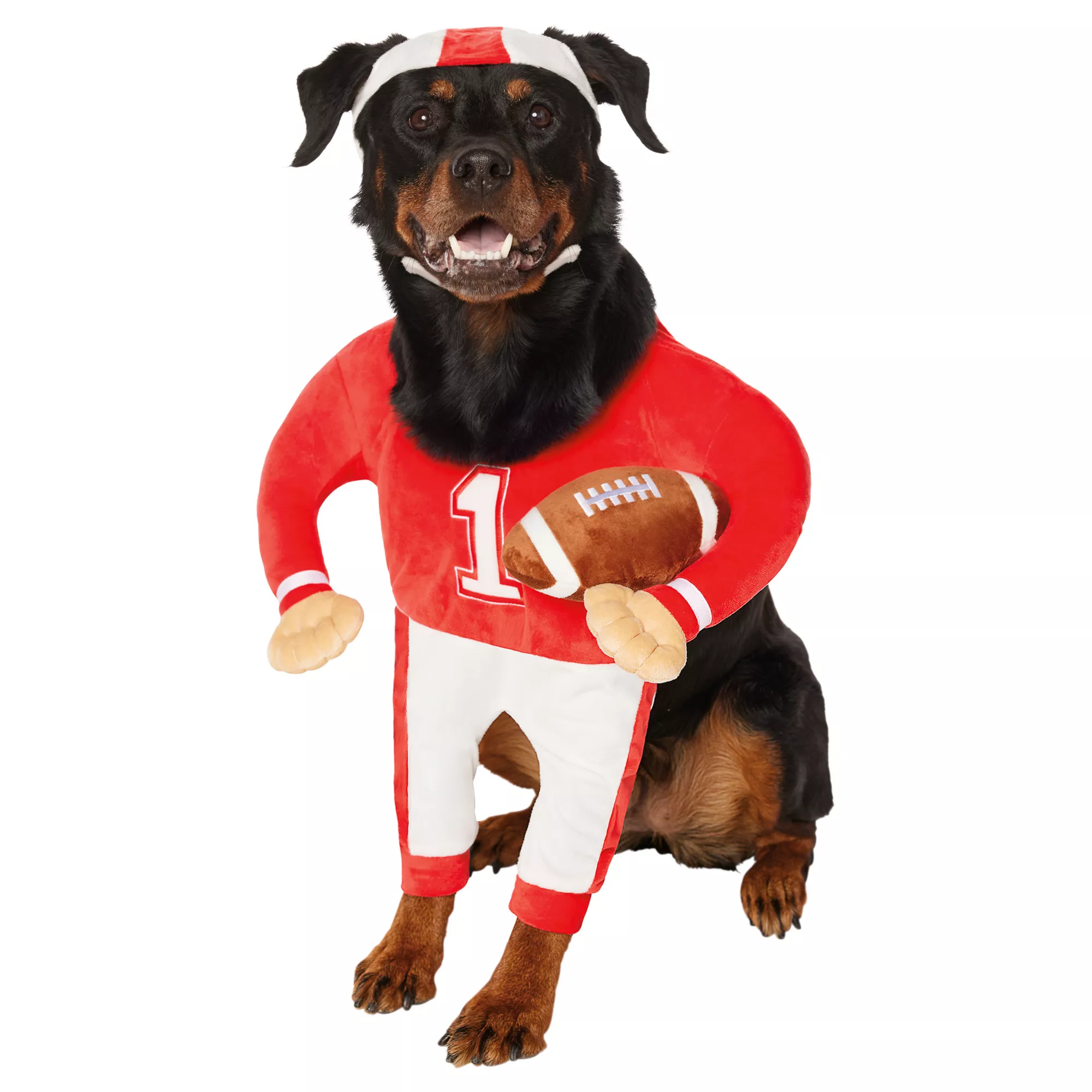 Football Player Pet Costume at Spirit Halloween
