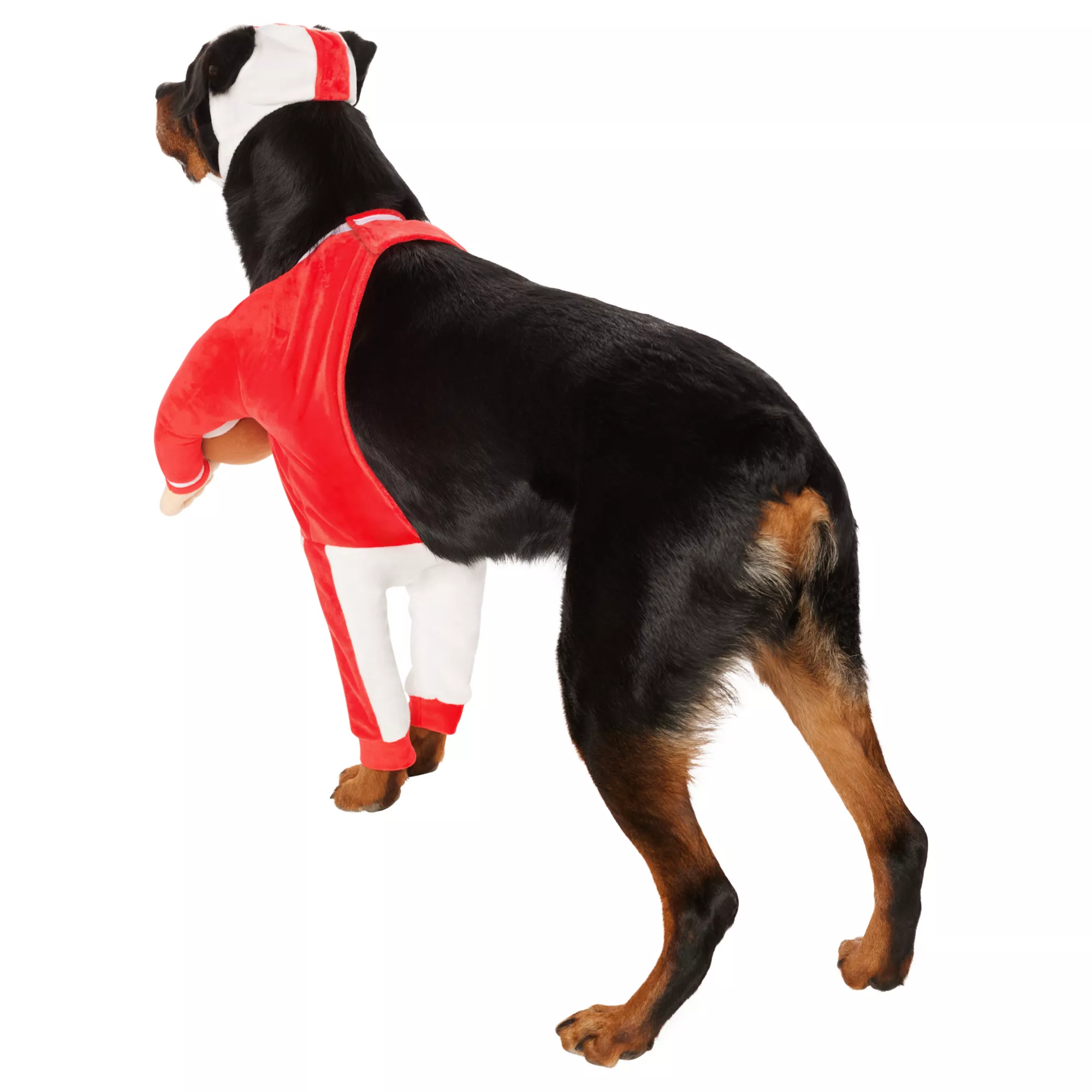 Football Player Pet Costume at Spirit Halloween