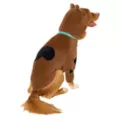 Scooby-Doo Pet Costume at Spirit Halloween