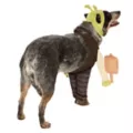 Shrek Pet Costume at Spirit Halloween