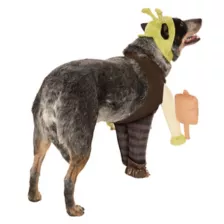 Shrek Pet Costume at Spirit Halloween