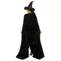Adult Elphaba Cape -  Wicked at Spencer's