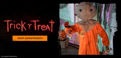 Animatronics