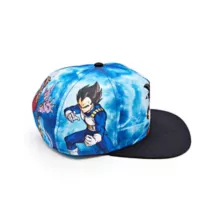 Goku Snapback Hat - Dragon Ball Z at Spencer's