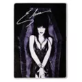 Elvira Purple Coffin Fleece Blanket at Spencer's