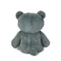 Gothic Skeleton Bear Plush at Spencer's