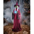 6 Ft 11 In Lady Misfortune Animatronic at Spirit Halloween