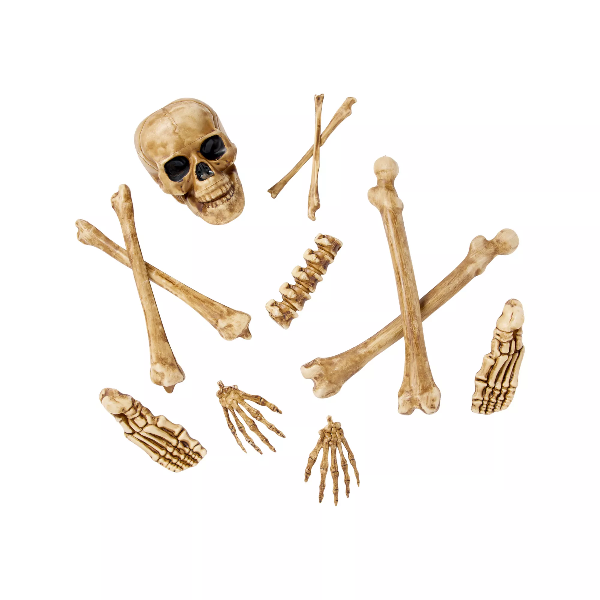 12-Piece Bag of Decaying Bones at Spirit Halloween