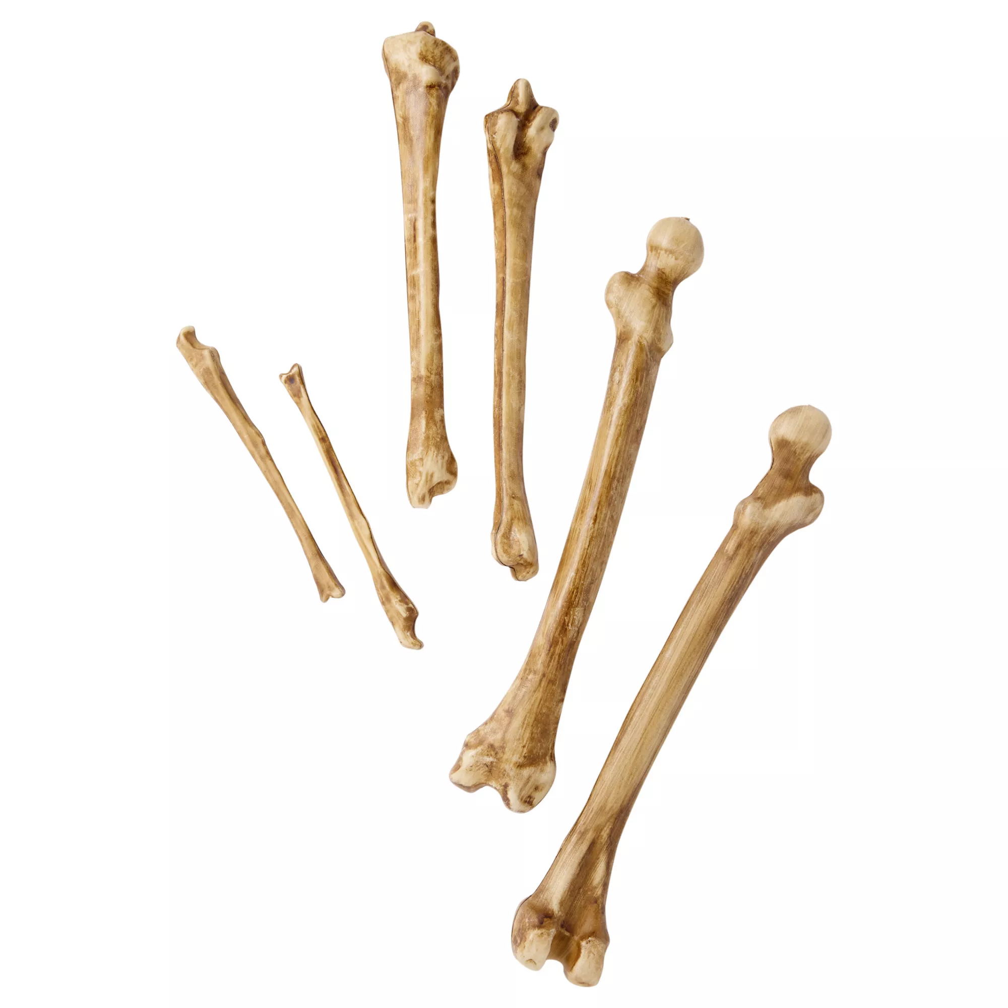 12-Piece Bag of Decaying Bones at Spirit Halloween