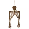 Hanging Decaying Skeleton Half Body at Spirit Halloween