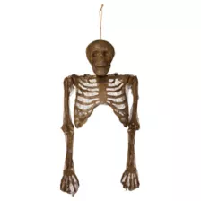 Hanging Decaying Skeleton Half Body at Spirit Halloween