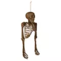Hanging Decaying Skeleton Half Body at Spirit Halloween