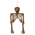 Hanging Decaying Skeleton Half Body at Spirit Halloween