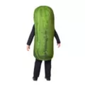Toddler Pickle Costume at Spencer's
