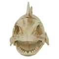 Light-Up Eyes Skeleton Fish at Spirit Halloween