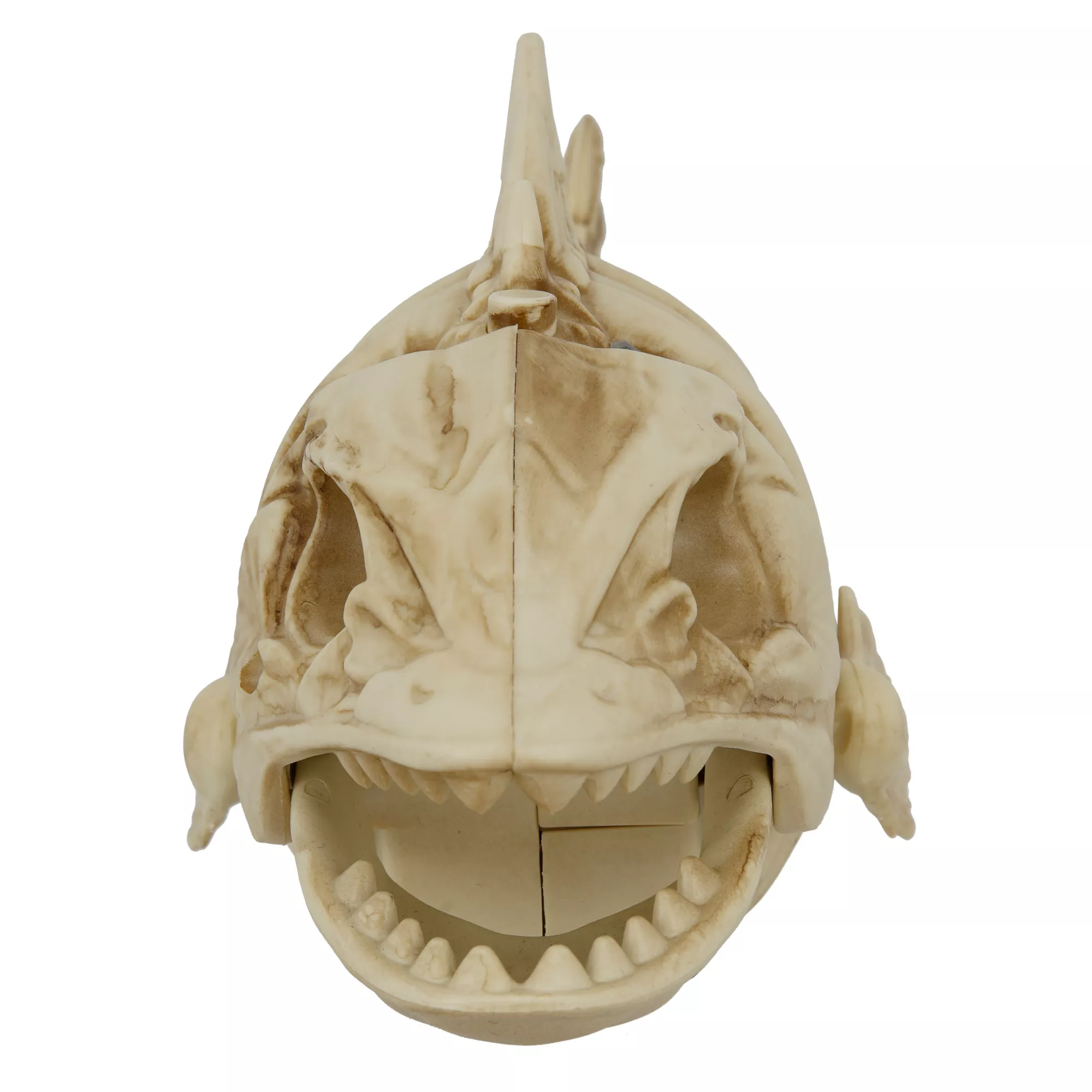 Light-Up Eyes Skeleton Fish at Spirit Halloween