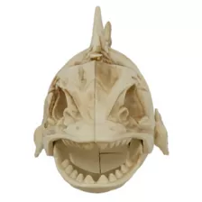 Light-Up Eyes Skeleton Fish at Spirit Halloween