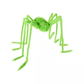 Spider Décor