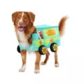 Scooby Doo Mystery Machine Pet Costume at Spirit Halloween