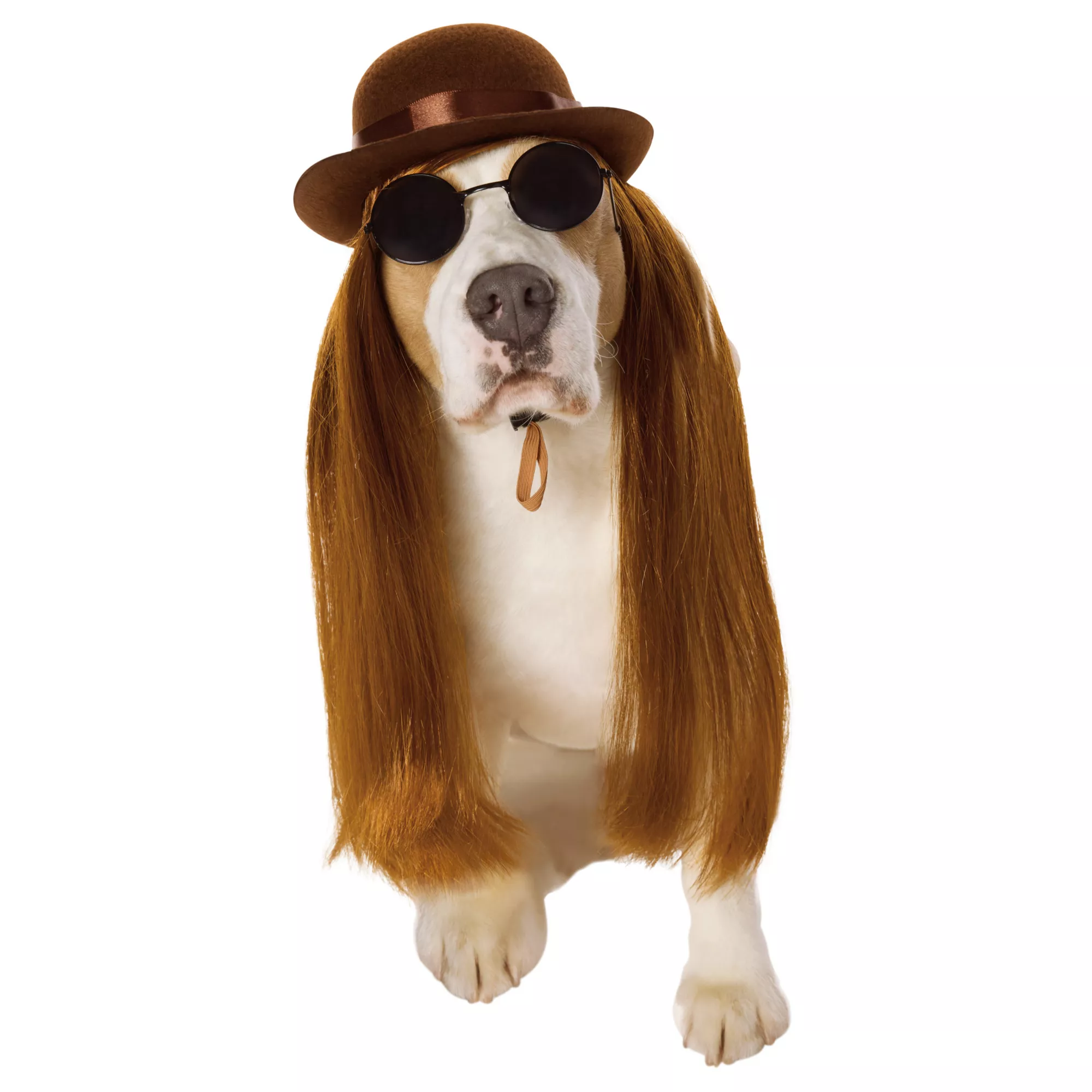 Cousin Itt Pet Costume - The Addams Family at Spirit Halloween