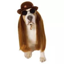Cousin Itt Pet Costume - The Addams Family at Spirit Halloween
