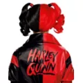 Kids Harley Quinn Wig - DC Villains at Spirit Halloween