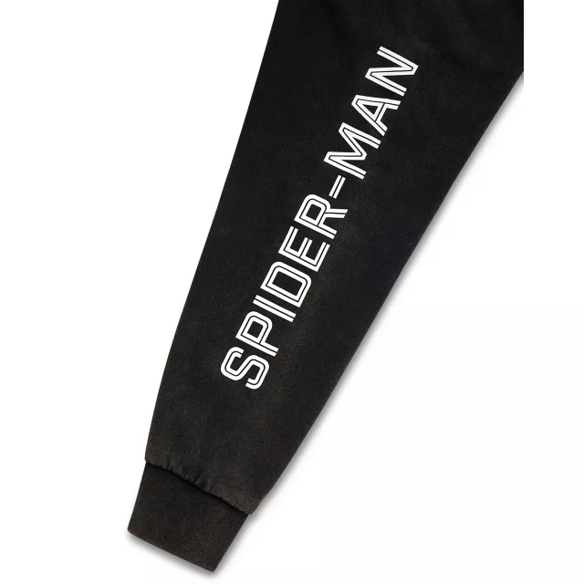 Spider-Man Brand New Day Washed Hoodie - Marvel at Spencer's