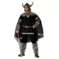 Theatrical Viking Warrior Mens Costume at Spencer's