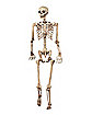 5 ft Pose 'N' Stay Skeleton - Decorations