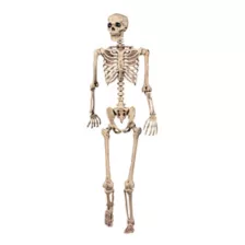 5 Ft Pose 'N' Stay Skeleton at Spirit Halloween