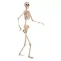 5 Ft Pose 'N' Stay Skeleton at Spirit Halloween