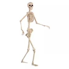 5 Ft Pose 'N' Stay Skeleton at Spirit Halloween