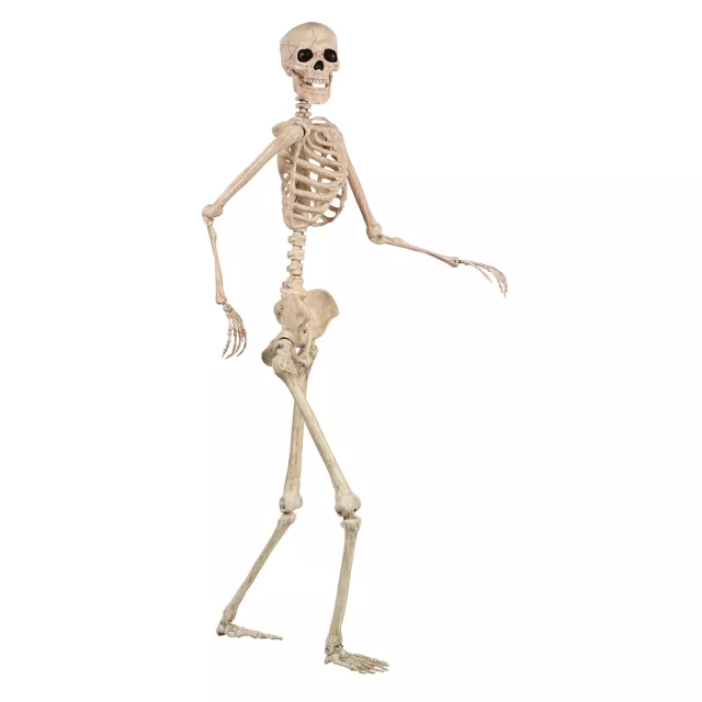 5 Ft Pose 'N' Stay Skeleton - Spirithalloween.com