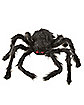 10 in Black Hairy Spider -  Decorations