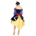 Adult Snow White Theatrical Costume - Disney at Spencer's