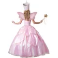 Fairy Godmother Adult Womens Theatrical Costume at Spencer's