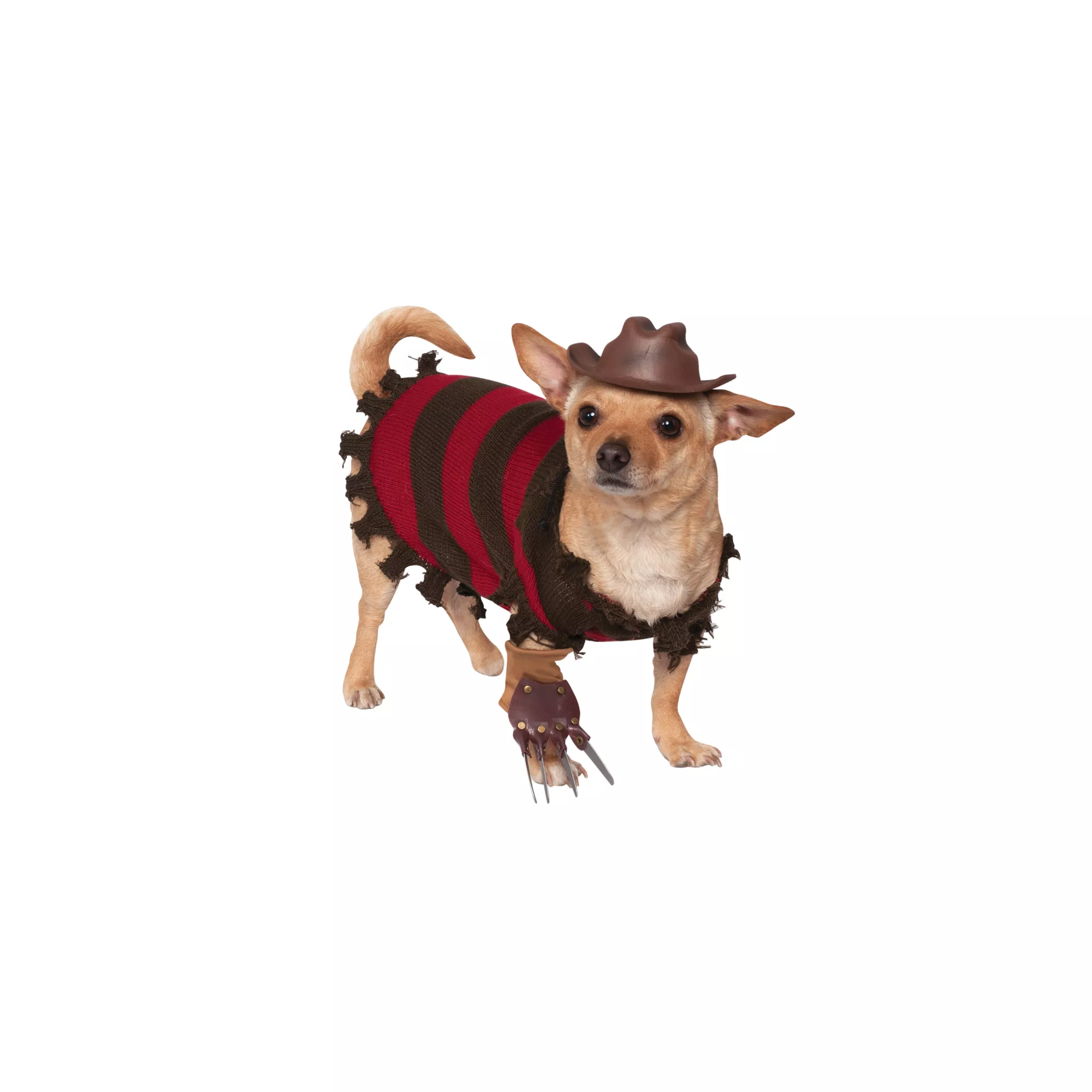 Freddy Krueger Pet Costume - Nightmare on Elm Street at Spencer's