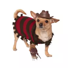 Freddy Krueger Pet Costume - Nightmare on Elm Street at Spencer's