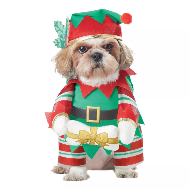Elf Dog Costume - Spirithalloween.com